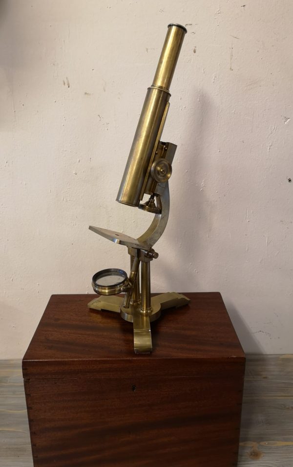 Microscopio ff S XIX